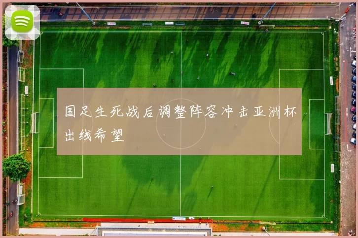 国足生死战后调整阵容冲击亚洲杯出线希望