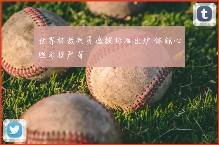世界杯裁判员选拔标准出炉 体能心理考核严苛