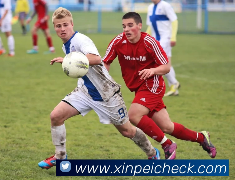 乐投官方网页版 - 乐投LETOU(中国)APP 体育赛事宣传图